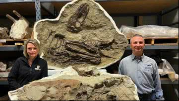 O fóssil de um Gorgossaurus - Royal Tyrell Museum of Paleontology