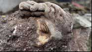 Cabeça de mármore do século 2 é descoberta em basílica cristã em Roma - Divulgação/Parco Archeologico dell'Appia Antica