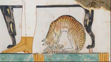 Representação de gato em antiga tumba egípcia - Getty Images