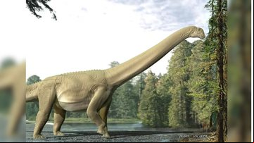 Diamantinasaurus matildae em ilustração - Divulgação/Travis Tischler